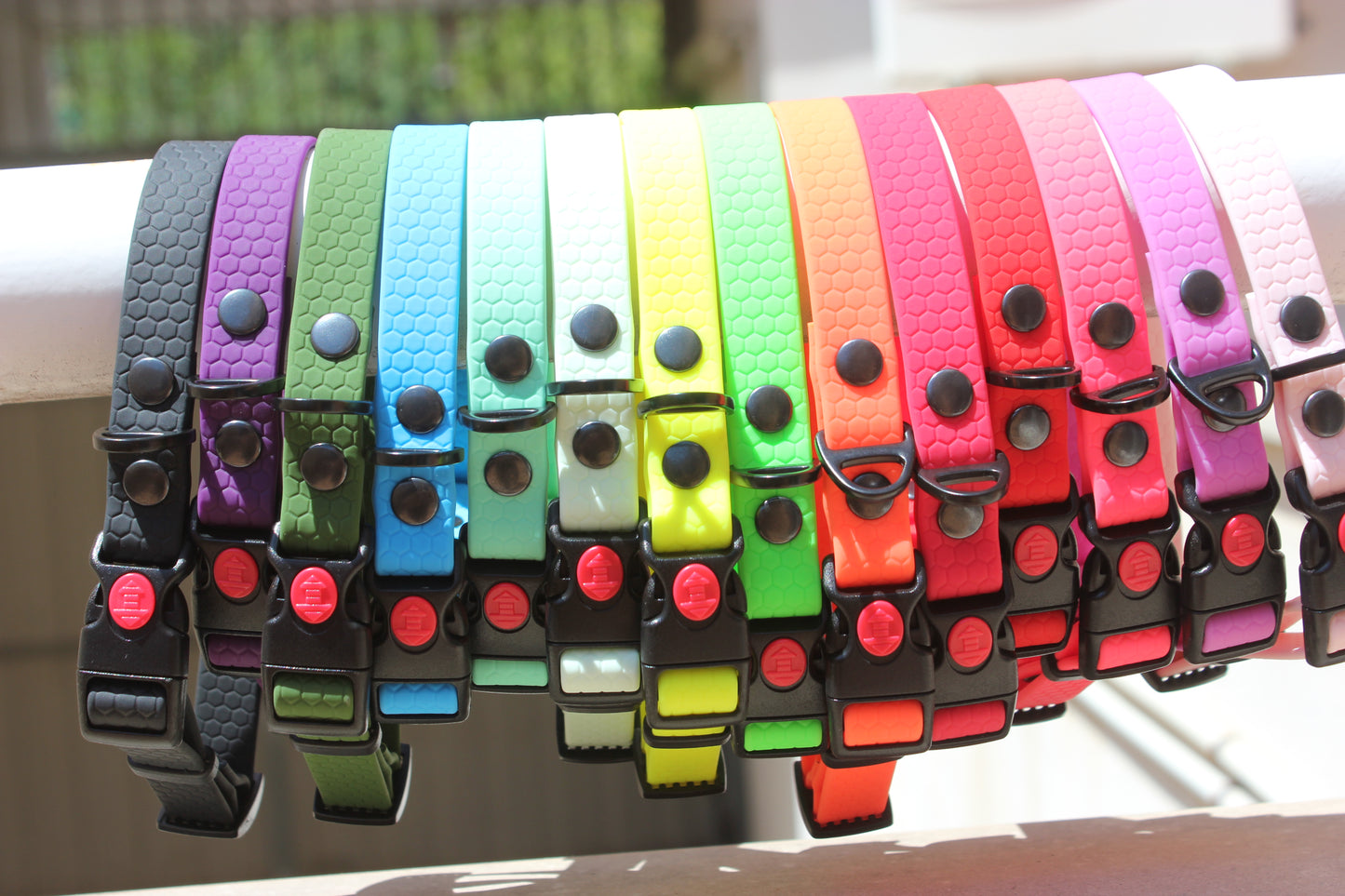 Collar Hexa Pro