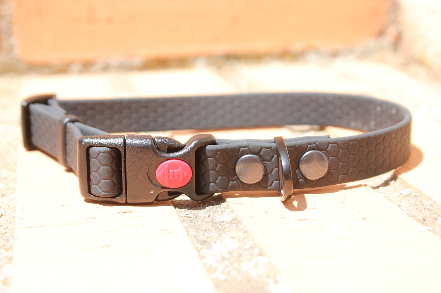 Collar Hexa Pro