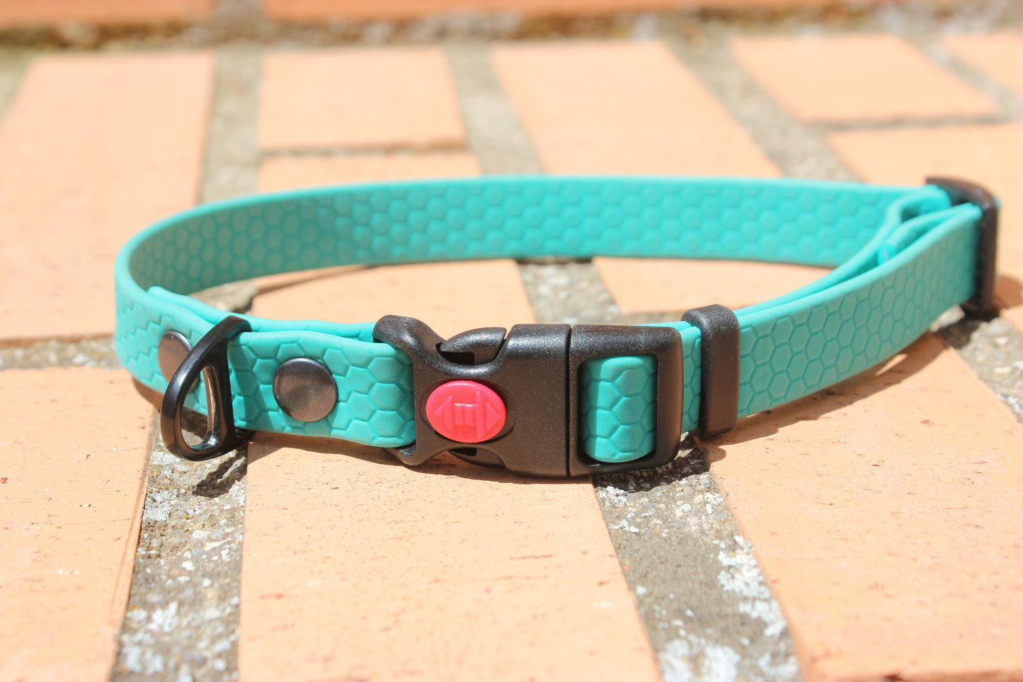 Collar Hexa Pro
