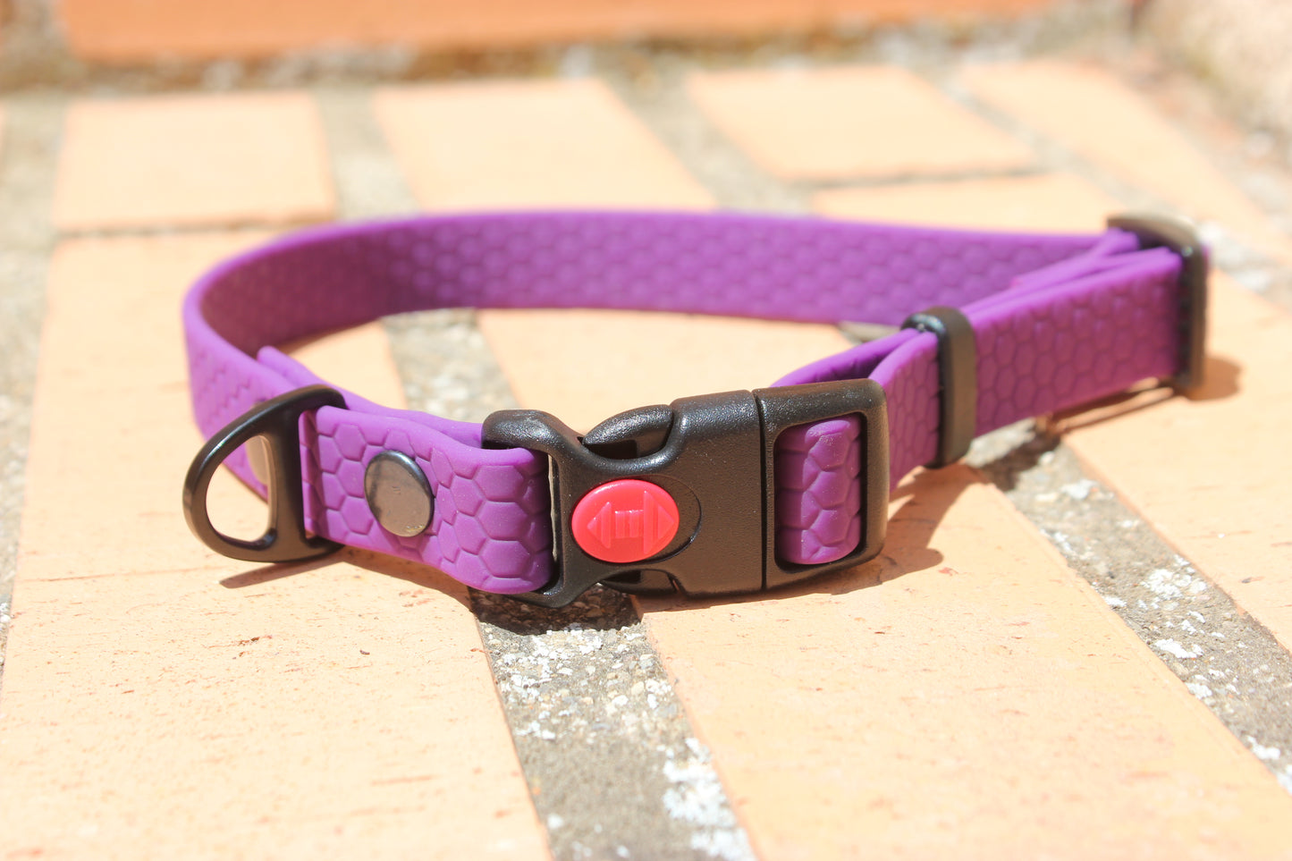 Collar Hexa Pro