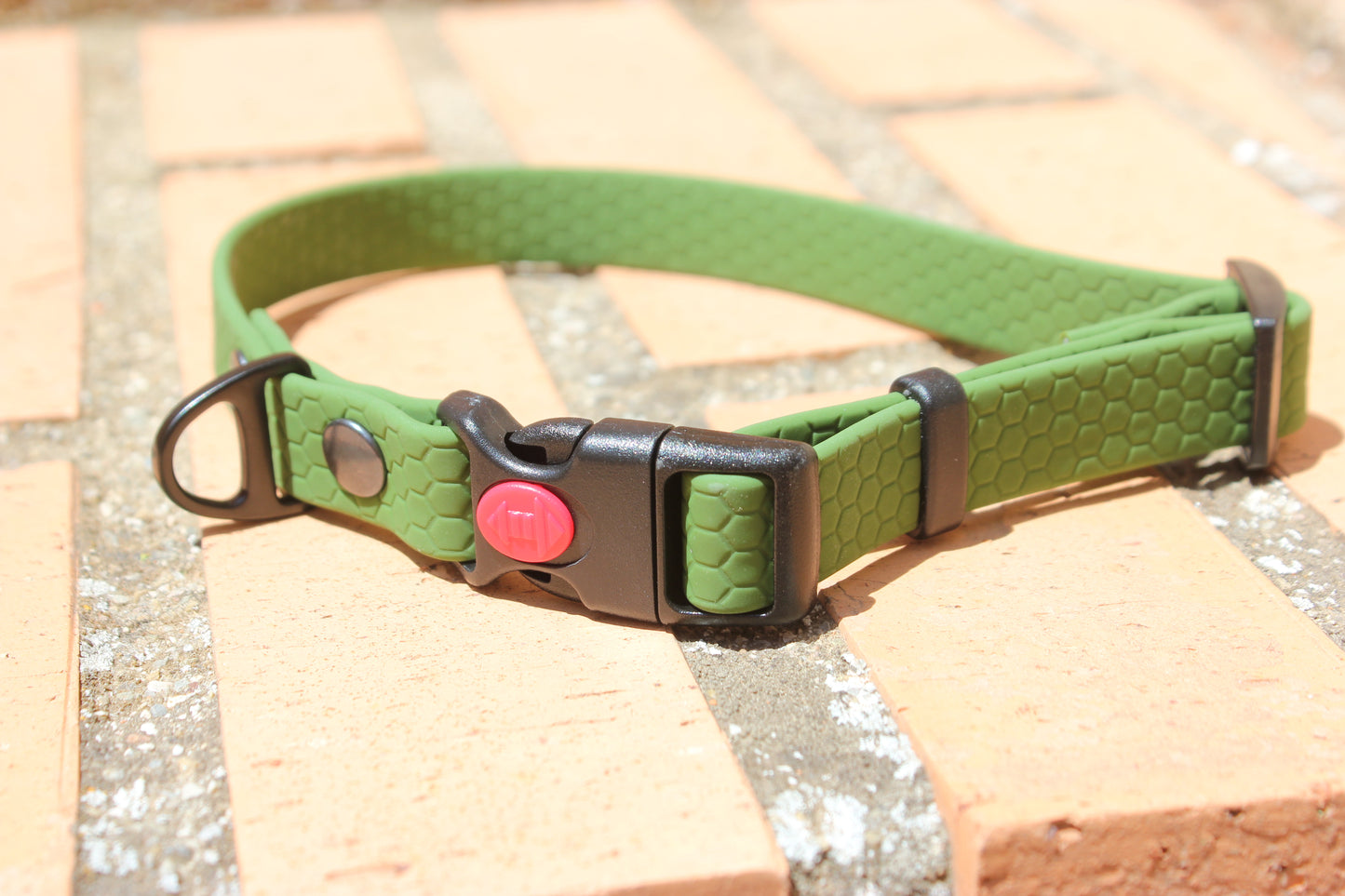 Collar Hexa Pro