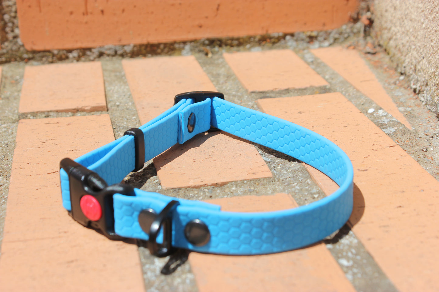 Collar Hexa Pro