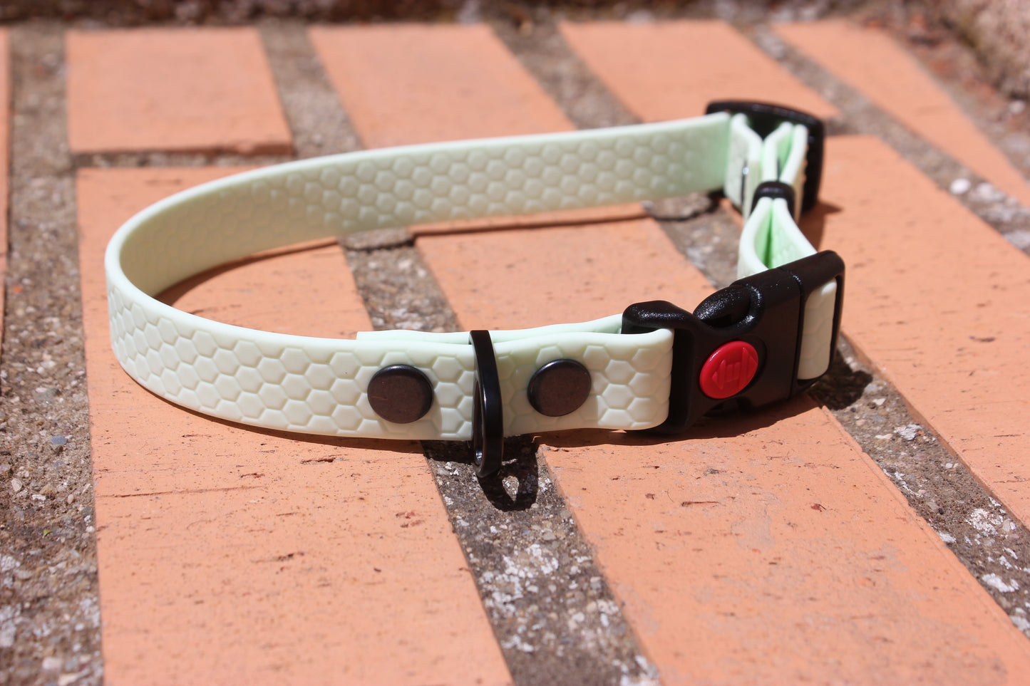 Collar Hexa Pro