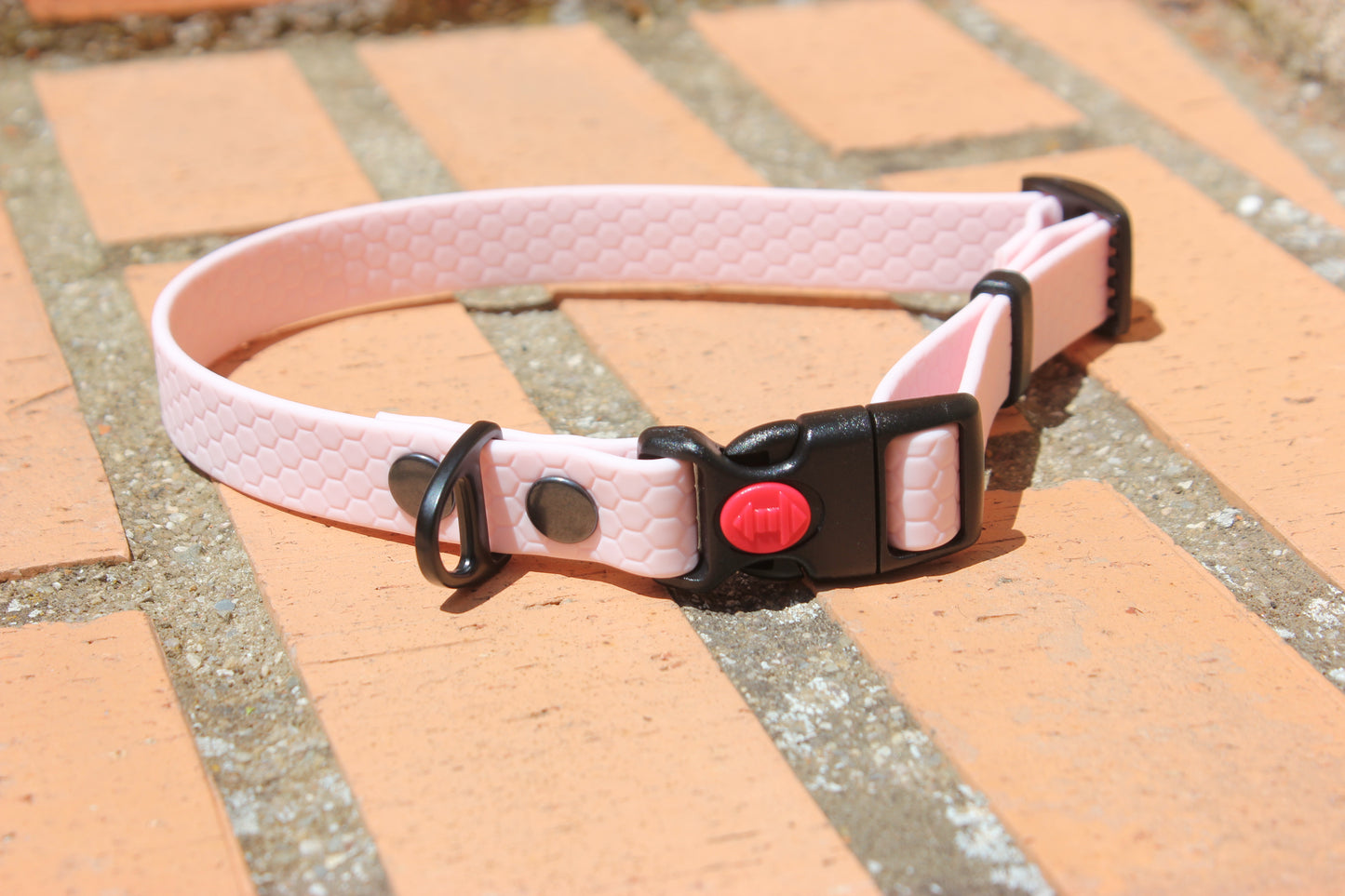Collar Hexa Pro