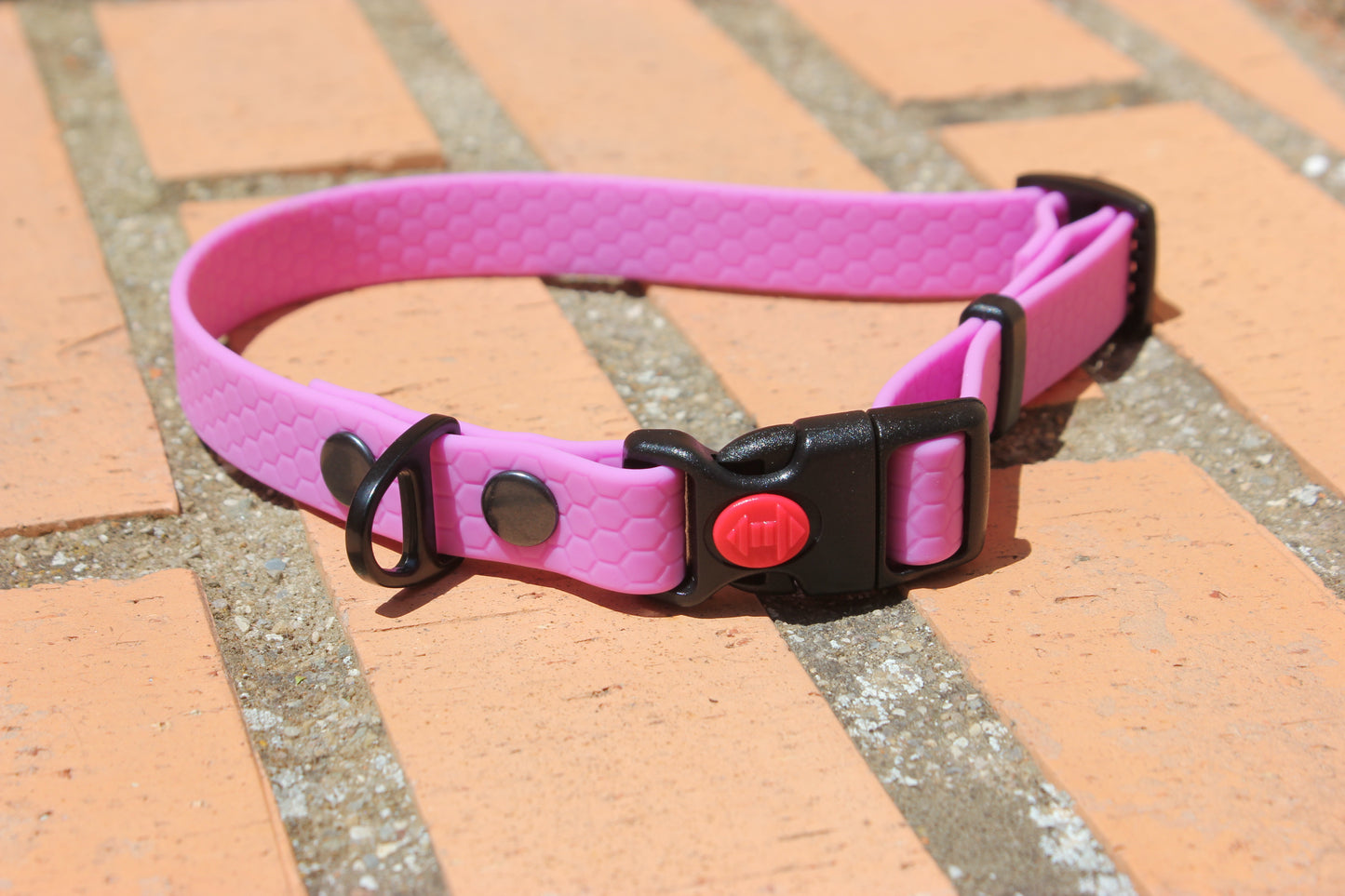 Collar Hexa Pro