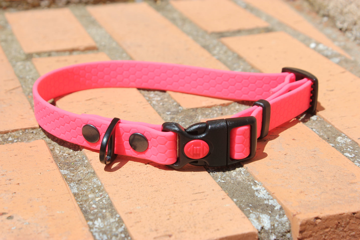 Collar Hexa Pro