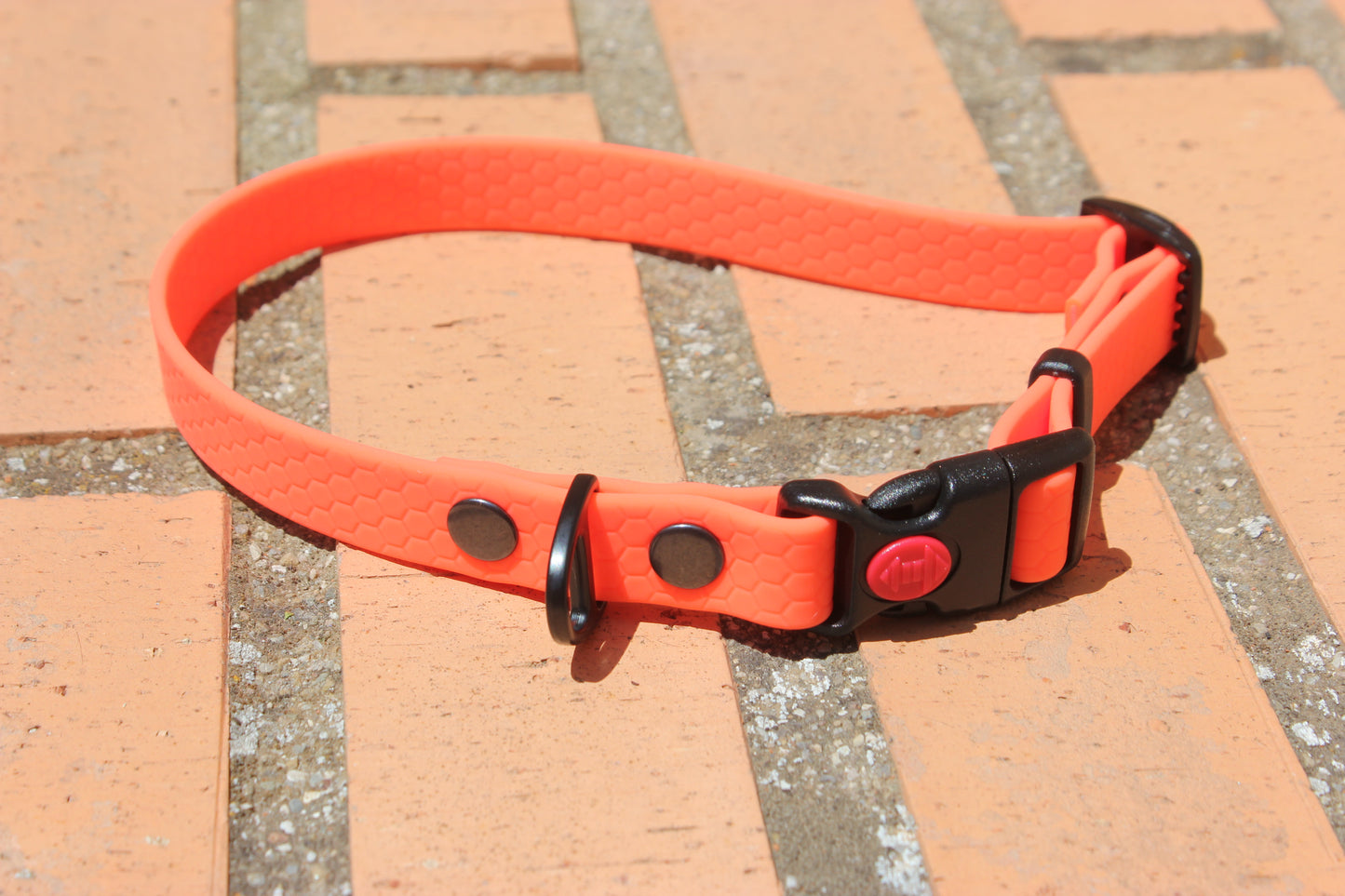 Collar Hexa Pro