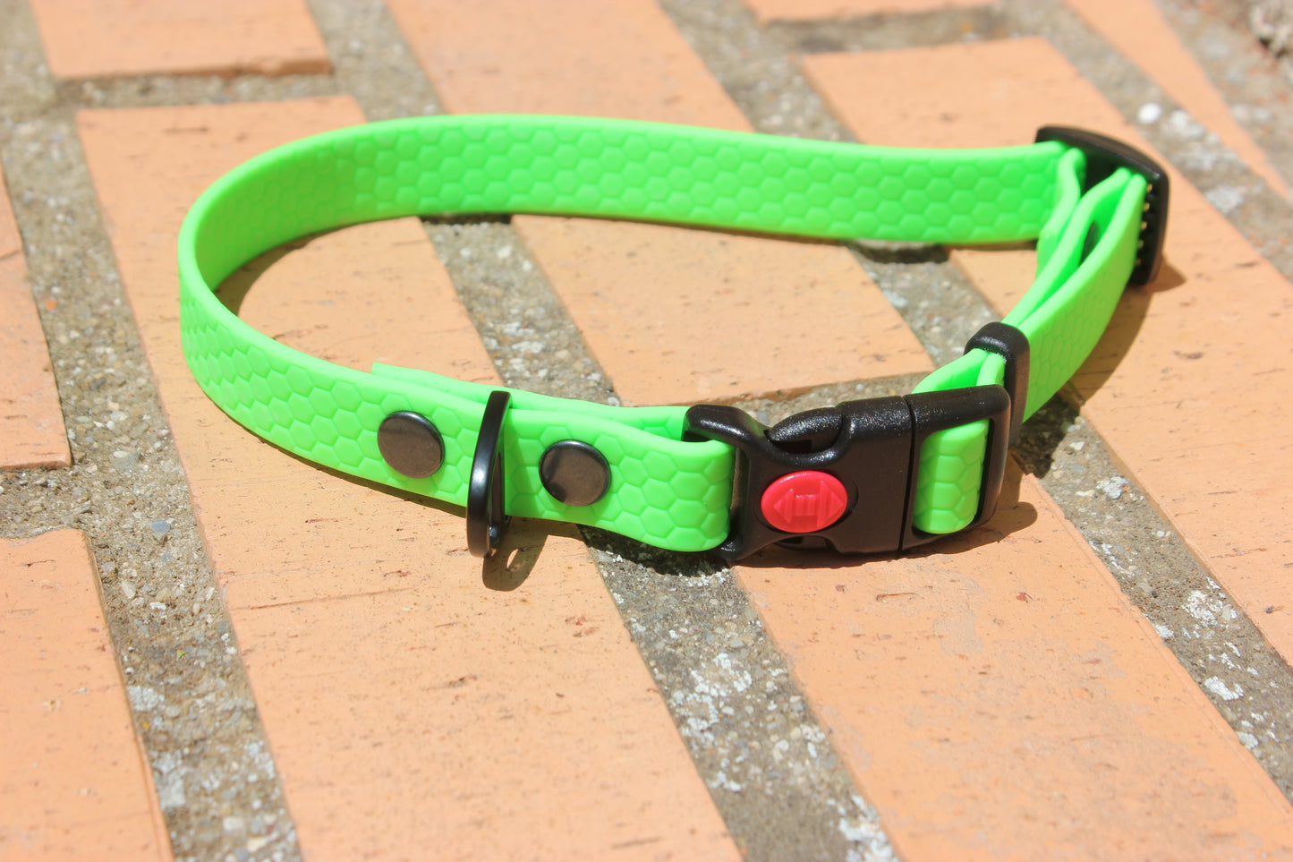 Collar Hexa Pro