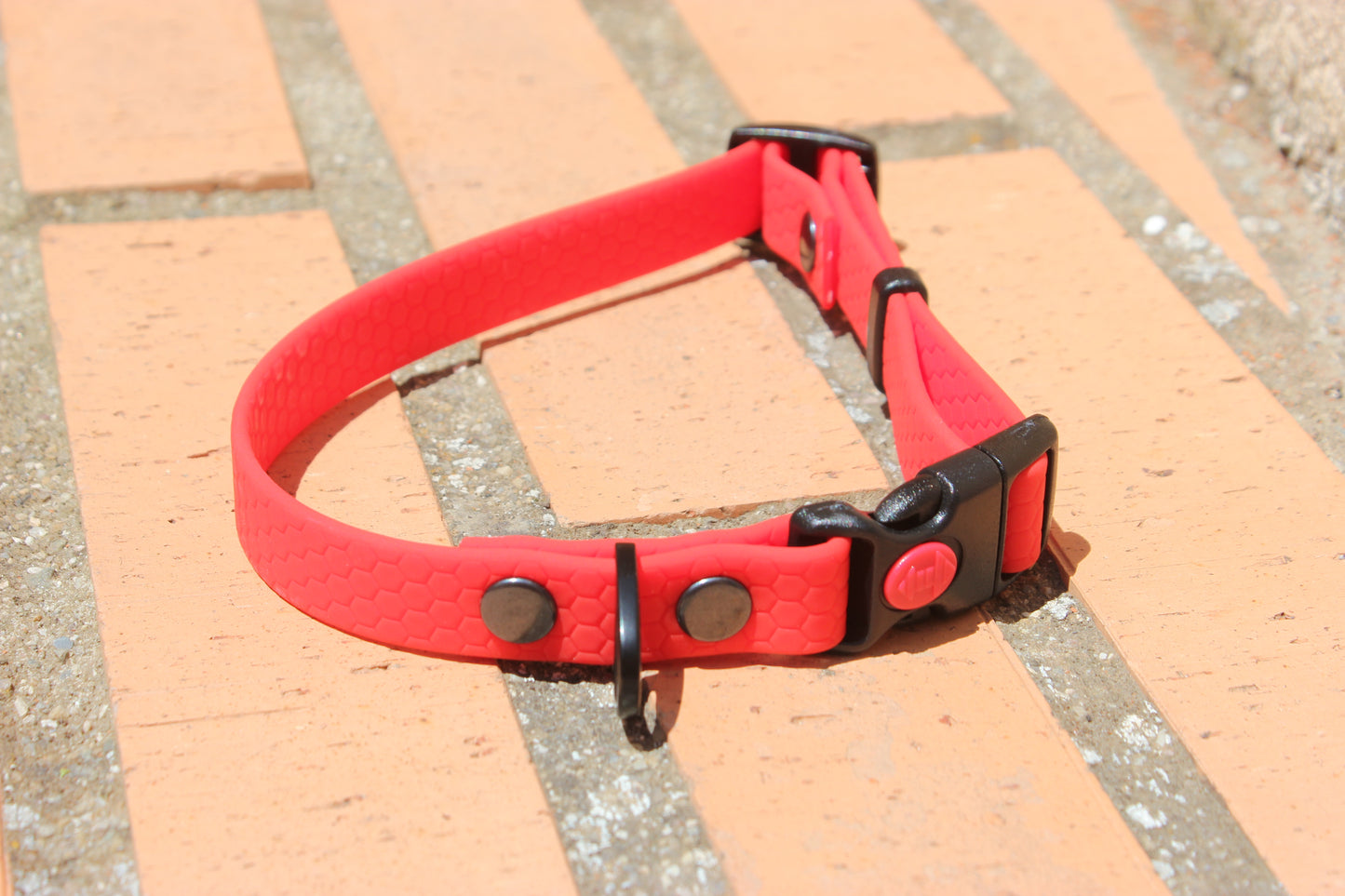 Collar Hexa Pro