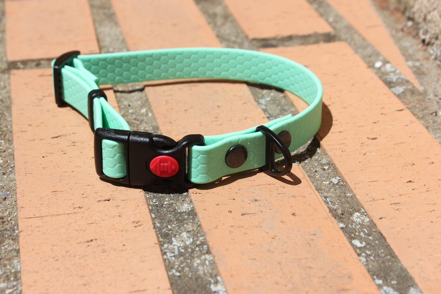 Collar Hexa Pro