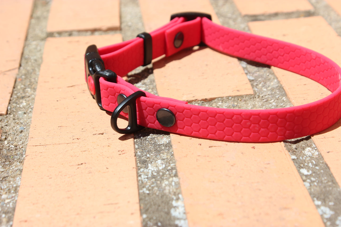 Collar Hexa Pro