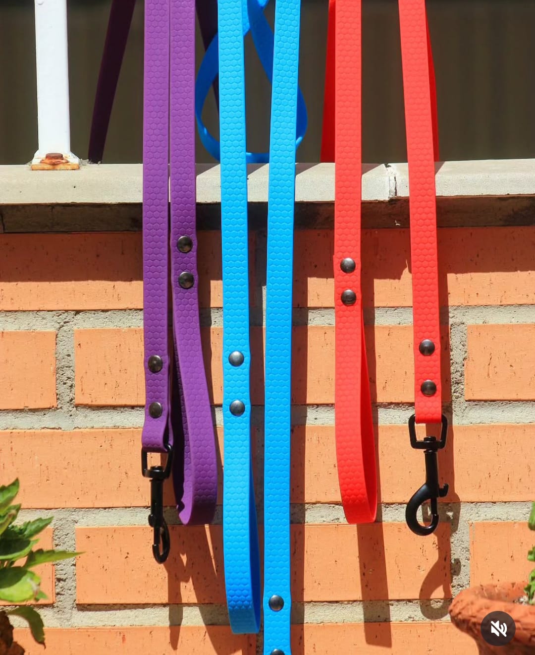 Correa HEXA Pro