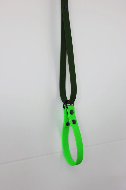 Correa + Collar HEXA Pro