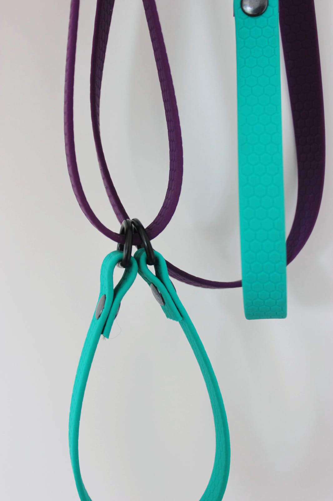 Correa + Collar HEXA Pro