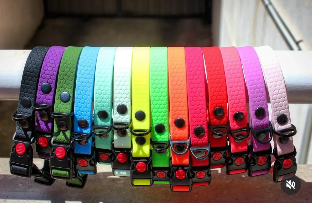 Collar Hexa Pro