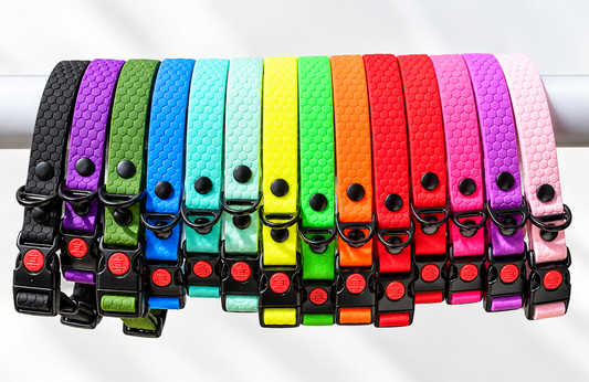 Collar Hexa Pro