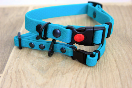 Collar Hexa Pro