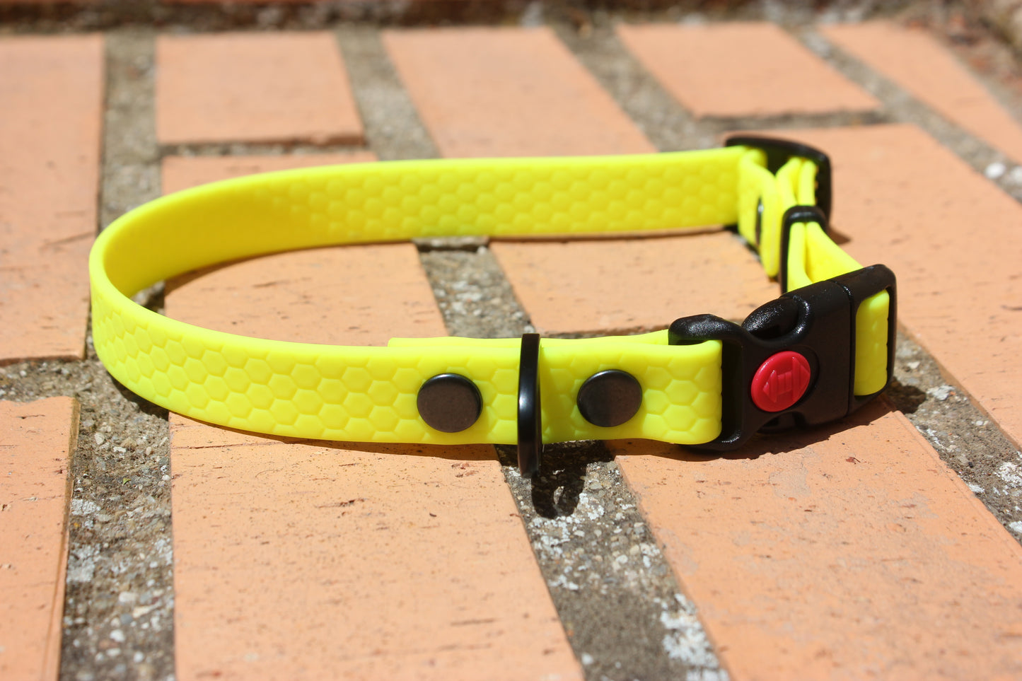 Collar Hexa Pro