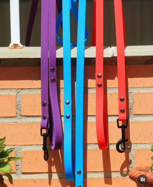 Correa HEXA Pro
