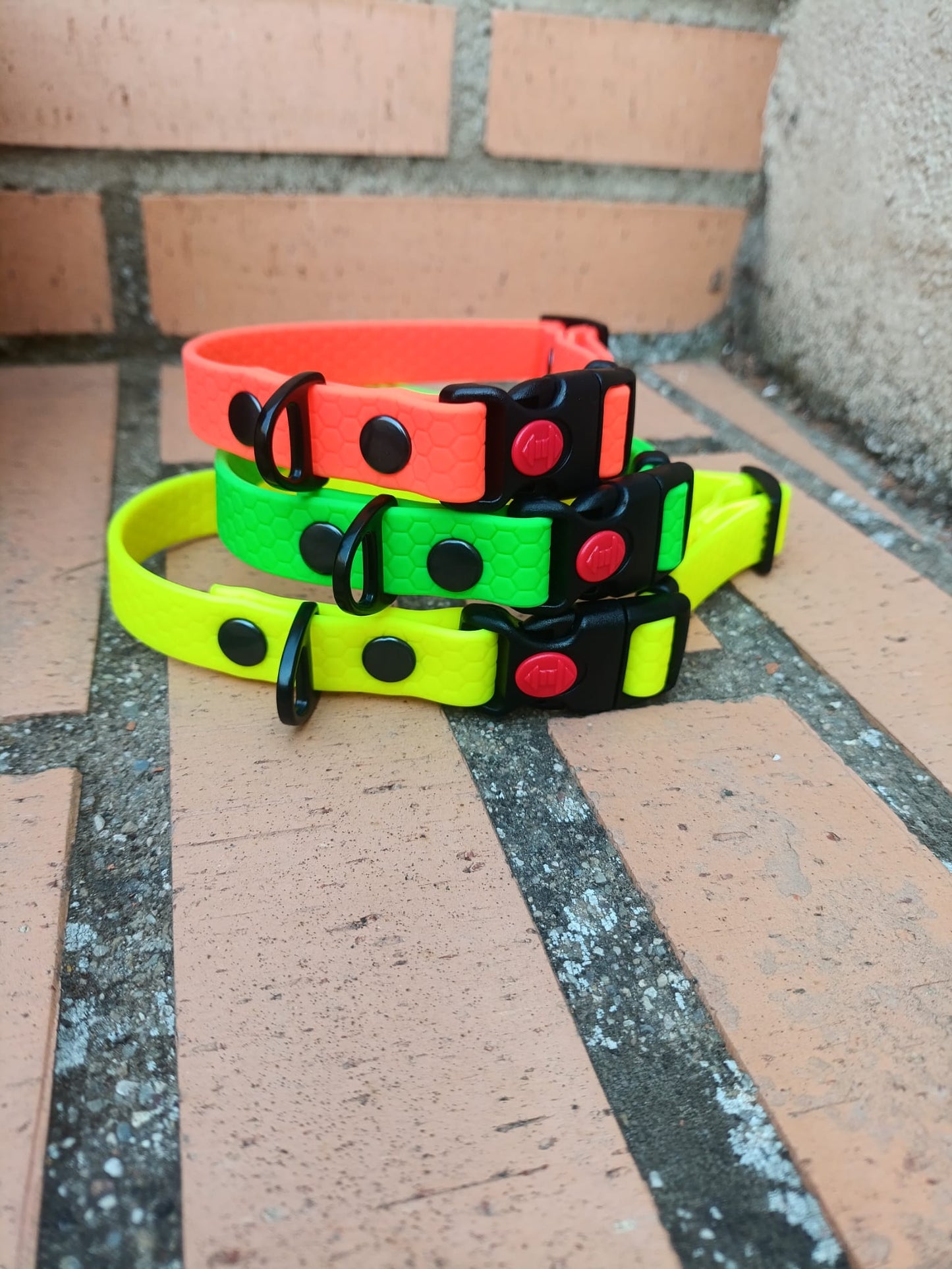 Collar Hexa Pro