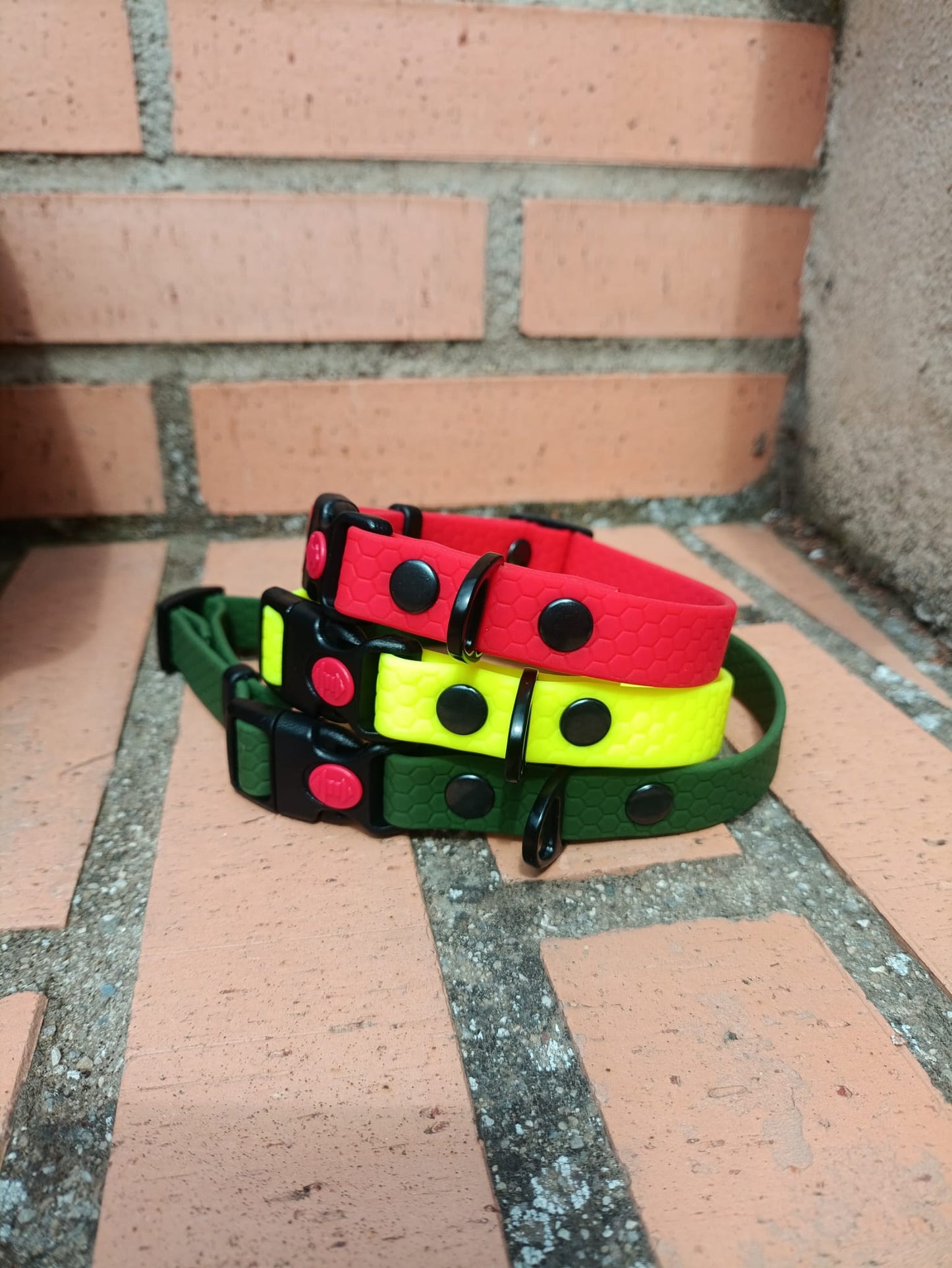 Collar Hexa Pro