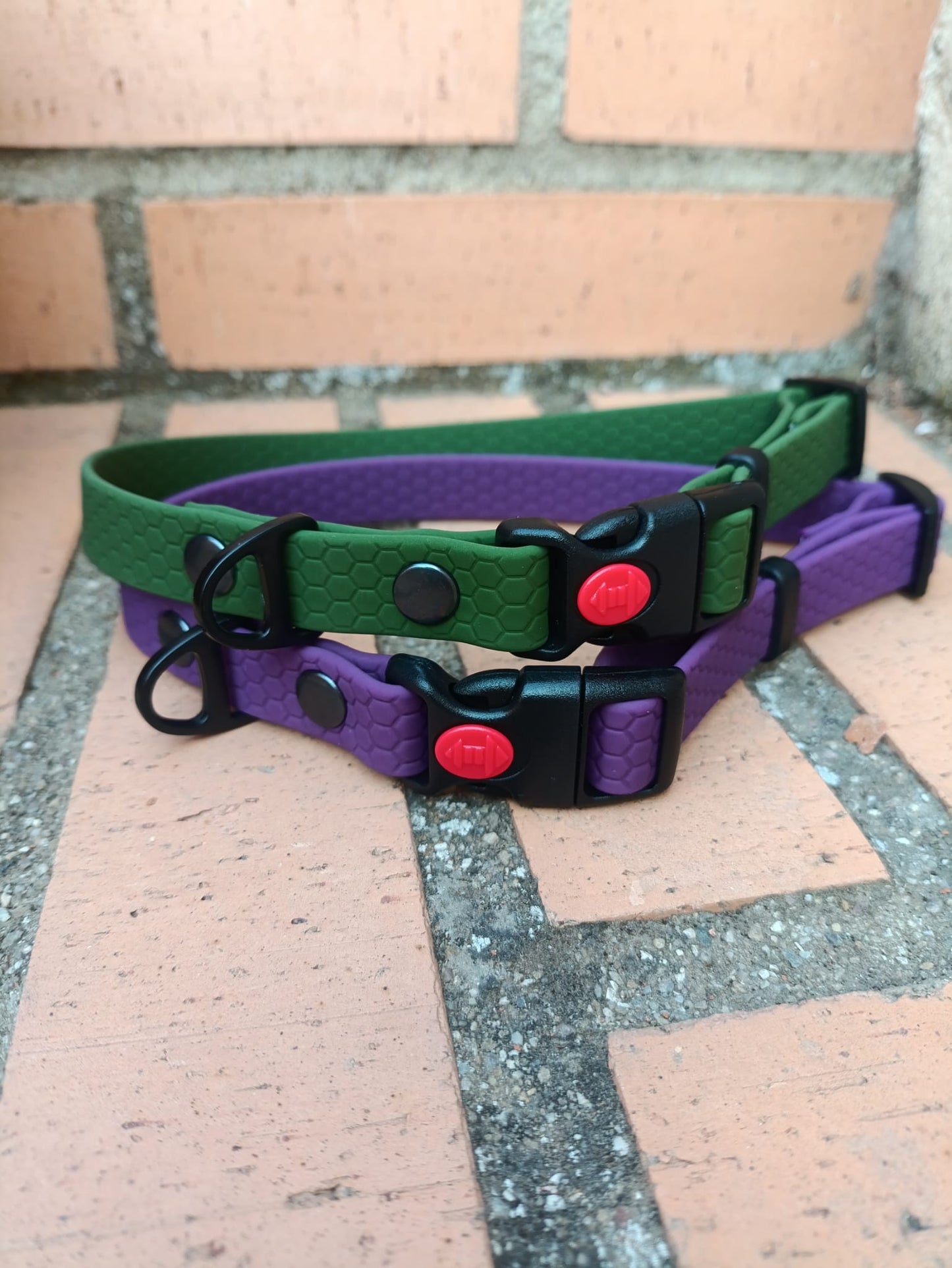 Collar Hexa Pro